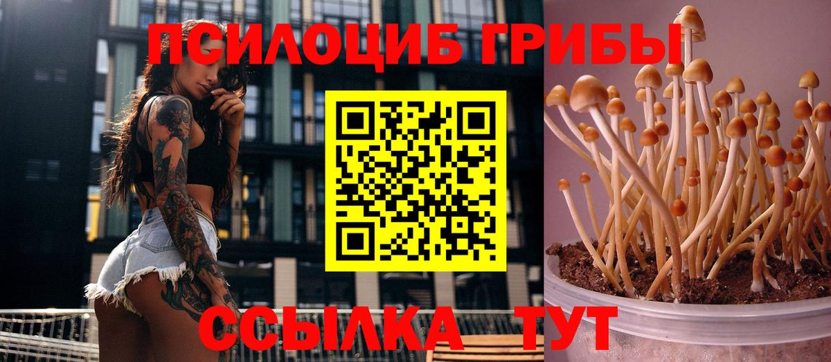 Галлюциногенные грибы Psilocybine cubensis Воркута
