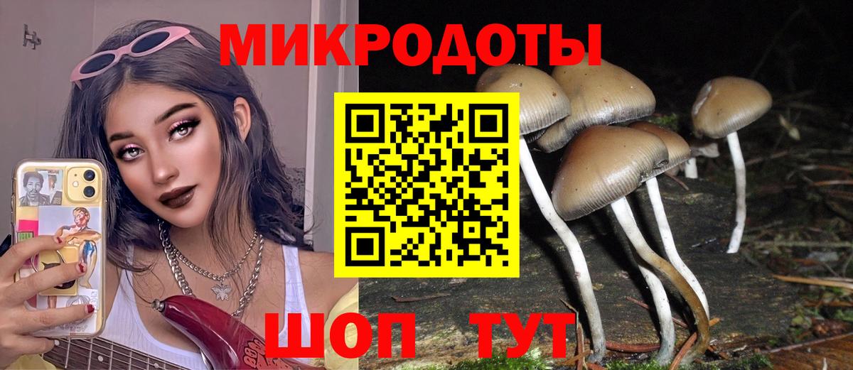 Галлюциногенные грибы Magic Shrooms  Вход с VPN  Воркута 