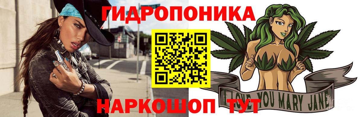 Бошки марихуана OG Kush Воркута